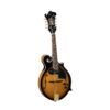 Kép 1/2 - Soundsation BMA-100ES - Bluegrass mandolin plywood lucfenyő fedlappal