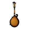 Kép 2/2 - Soundsation BMA-100ES - Bluegrass mandolin plywood lucfenyő fedlappal