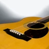 Kép 6/12 - Martin OM-28 akusztikus gitár