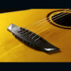 Kép 5/12 - Cort Luxe with case akusztikus gitár, Frank Gambale  Signature + Választható ajándék