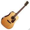 Kép 1/9 - Cort Gold-D6 with case akusztikus gitár, All solid