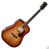 Kép 1/12 - Cort Gold-D8-LB with case akusztikus gitár, All solid, világos burst