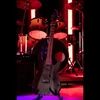 Kép 8/13 - Cort KX500-Etched-EBK el.gitár, Fishman pu, fekete