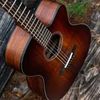Kép 12/18 - Cort Core-OC ABW OPLB with case el.akusztikus gitár, All solid, blackwood, világos burst
