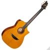 Kép 1/15 - Cort Luxe II with case elektro-akusztikus gitár, Frank Gambale Signature, keménytokkal