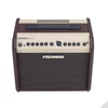 Kép 4/4 - Fishman Loudbox Mini ak.erősítő két csatorna, 60W
