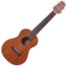 Takamine GUC1