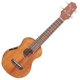 Takamine EGU-S1