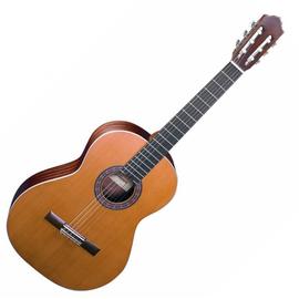 Almansa Student 401
