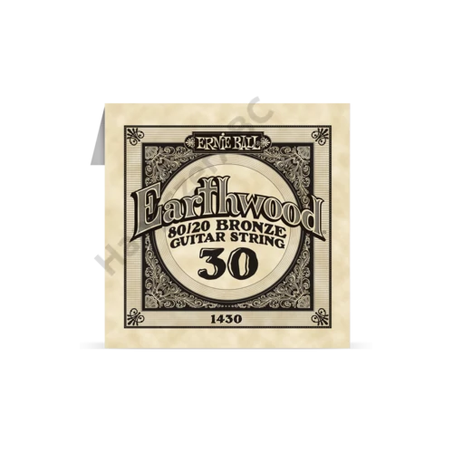 Ernie Ball Bronze Single 030
