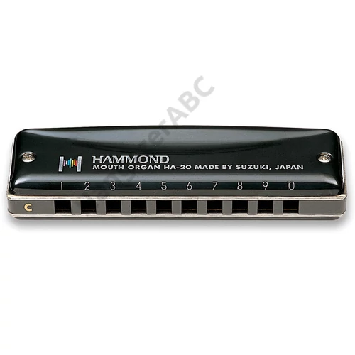 Suzuki Hammond A