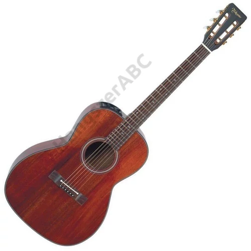 Takamine EF407