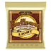 Ernie Ball Earthwood Bronze Light 11-52