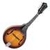 Recording King RAM-3-TS A-style mandolin, Tobacco Burst